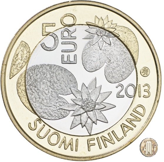 5 Euro 2013 - Estate - Serie Natura Nordica 2013 (Vantaa)