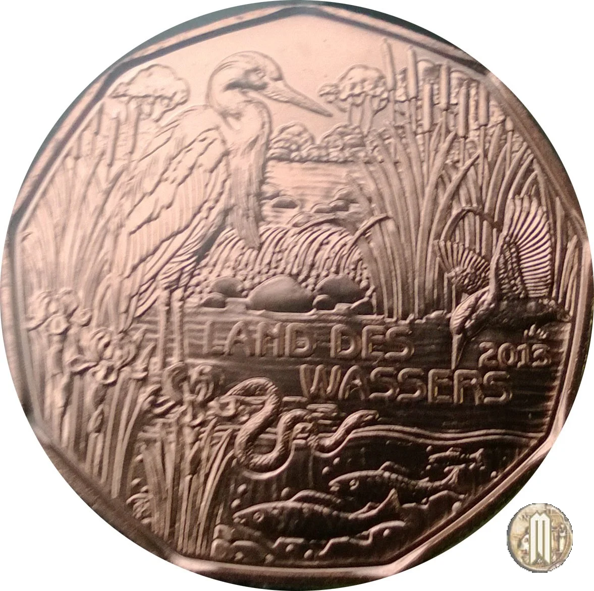 5 Euro 2013 Land der Wassers 2013 (Vienna)