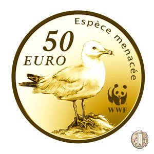 50 Euro 2011 Le Grandi cause - WWF, Il gabbiano d'audouin 2011 (Parigi)